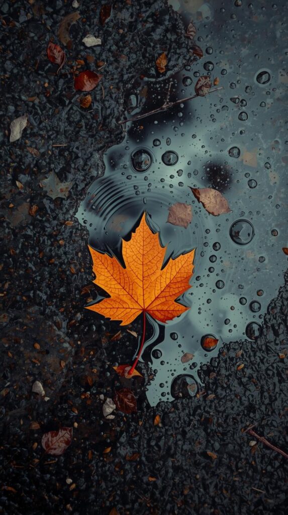 Best Nature Wallpapers in HD & 4K for Mobile and Desktop 19 nature wallpaper